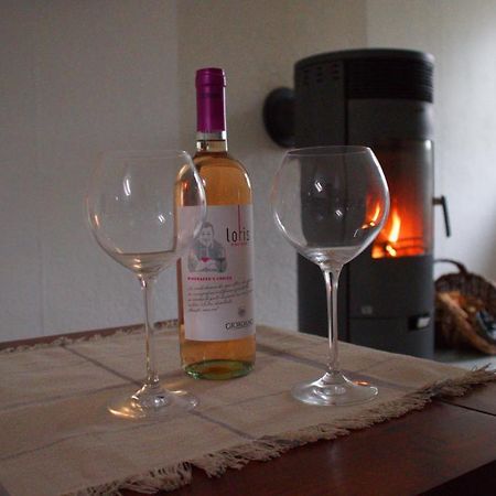 Noah - Beste Lage, Ruhig Und Romantisch Zeulenroda-Triebes Extérieur photo